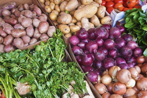 初级农产品占近七成市场份额，有机产品与日用品亟待深度开发