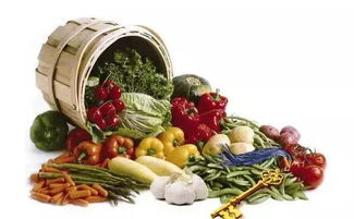 打造高销量初级农产品广告的策略与技巧