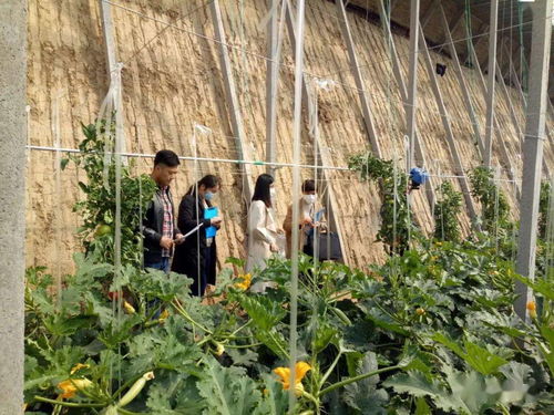 夯实农业基础 促进初级农产品提档升级