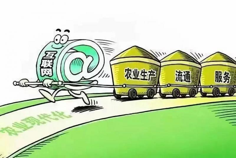 三农日报 家禽行业承压日损3亿，生态农业模式探索初见成效