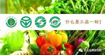 胡晓云 农产品地理标志——日用品中的独特品牌基因