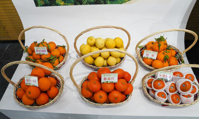 重庆长寿“慢城” 农旅融合助力乡村振兴