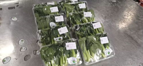 只要几秒，就看懂它的前世今生——萧山农产品有了“身份证”