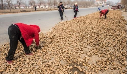 蔬菜市场冰火两重天 价格飙升与滞销背后的深层原因