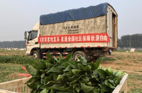 阿里淘菜菜 直连全国300基地，助力平价保供初级农产品