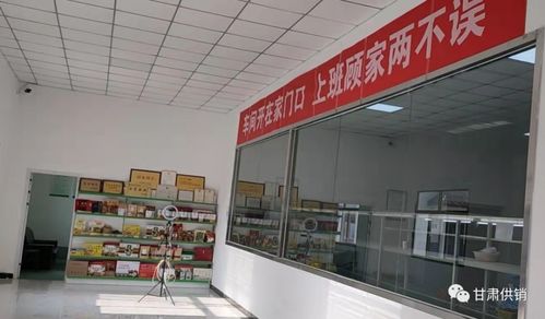 宁县电商为农产品开路，助力乡村振兴