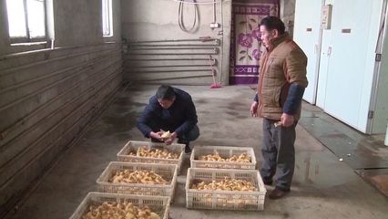 漯河市新型职业农民将“持证上岗” 初级农产品生产迈入标准化新阶段