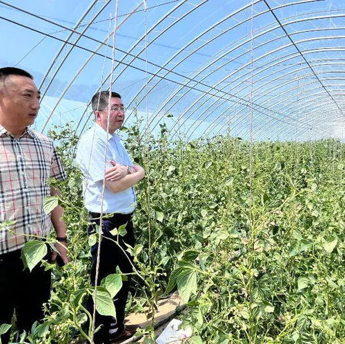 雨水润万物，供销助三农 延安农产品物流园共赴丰收年
